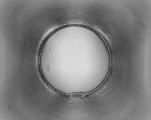 X0000115631416200912011431