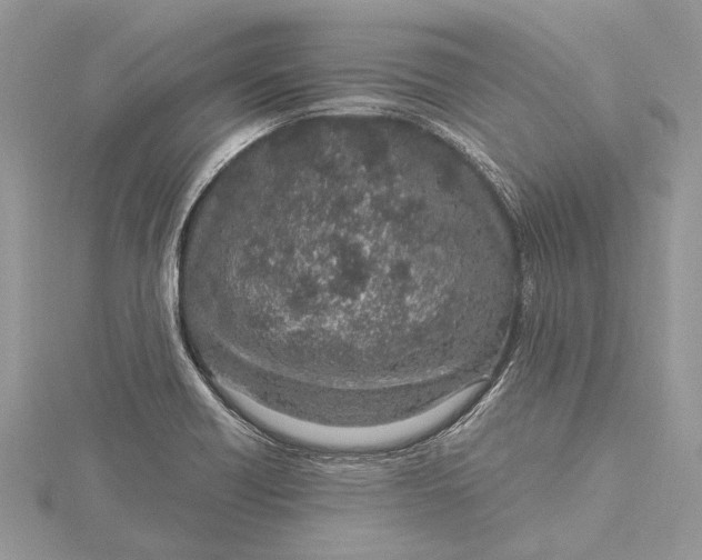 X0000115631418200912011431