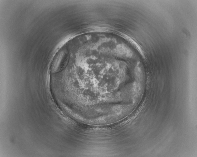 X0000115631419200912011431