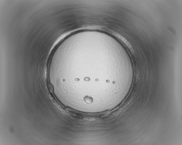 X0000115631420200912011431