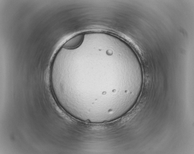 X0000115631421200912011431