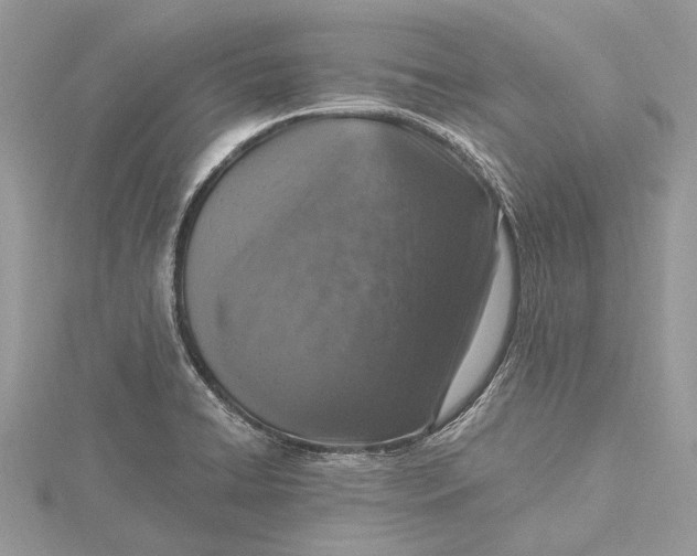 X0000115631422200912011431