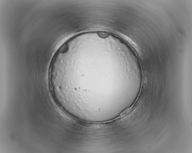 X0000115631423200912011431