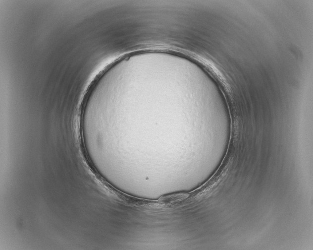 X0000115631424200912011431