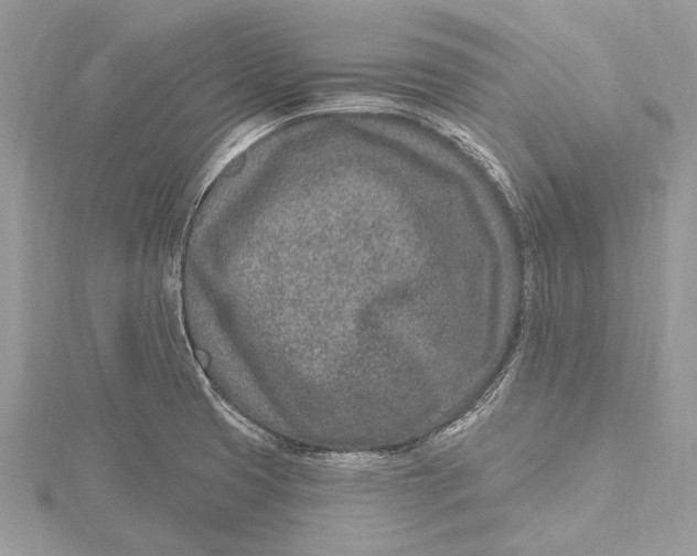 X0000115631425200912011431