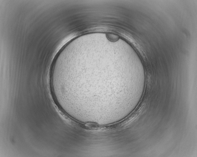 X0000115631426200912011431