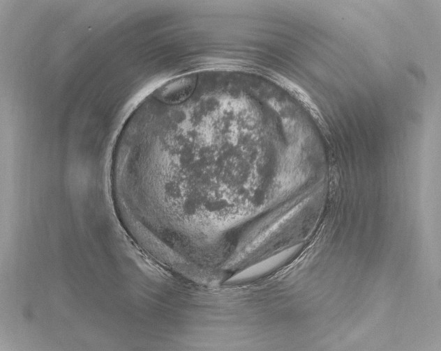 X0000115631427200912011431