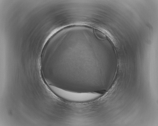 X0000115631428200912011431