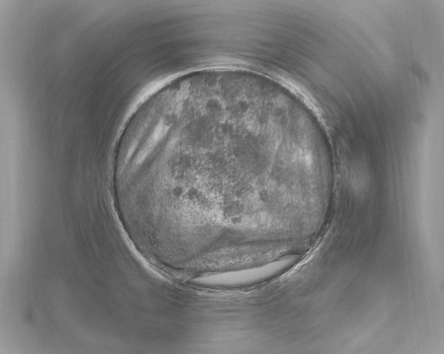 X0000115631429200912011431