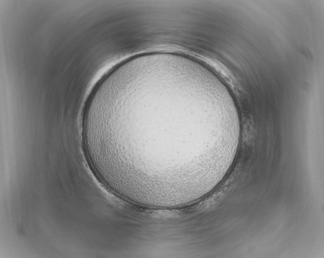 X0000115631430200912011431