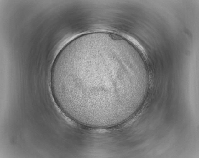 X0000115631431200912011431