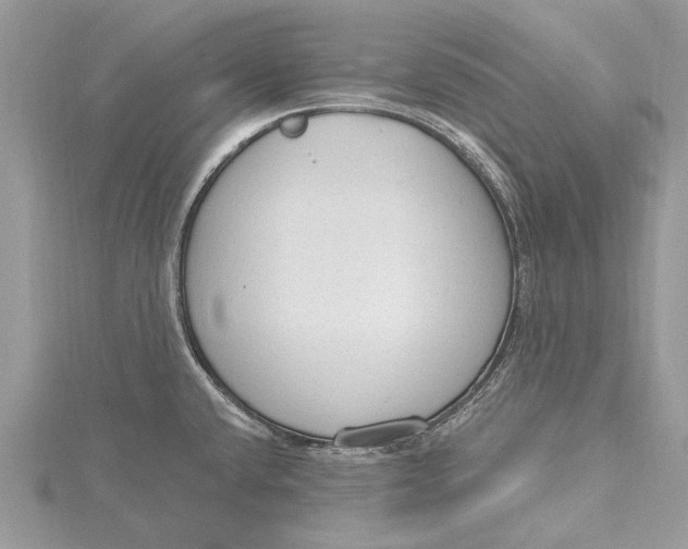 X0000115631432200912011431