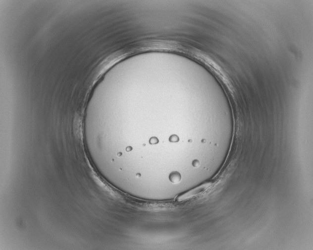 X0000115631433200912011431