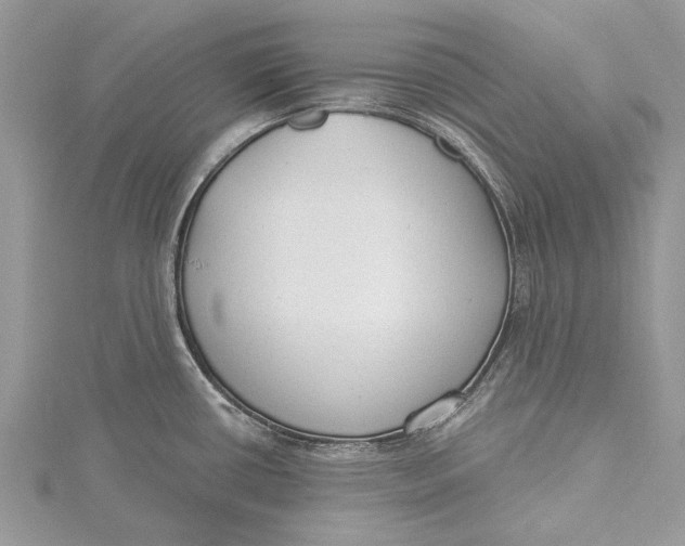 X0000115631434200912011431