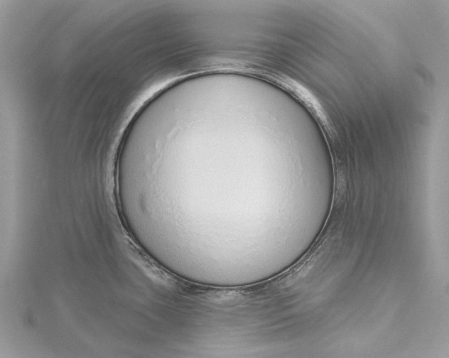 X0000115631435200912011431