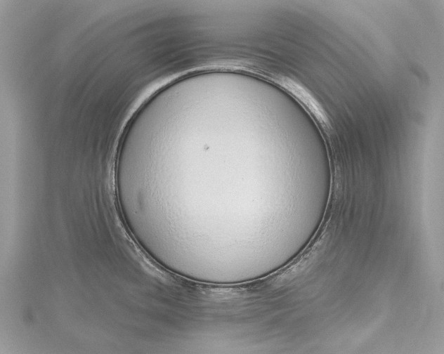 X0000115631436200912011431