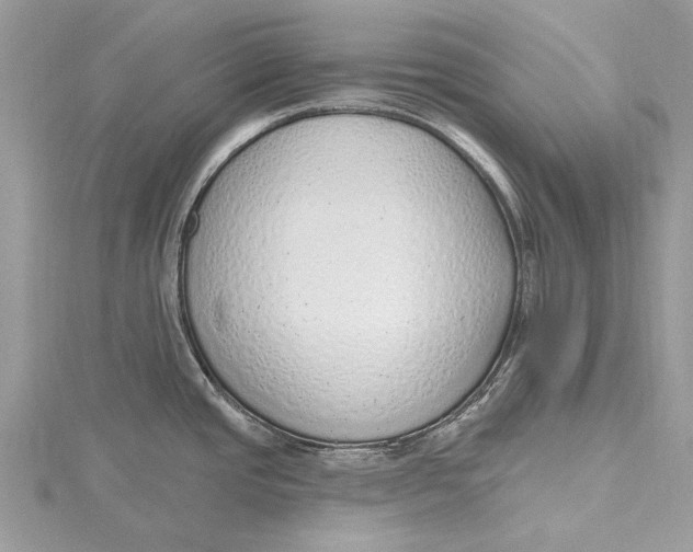 X0000115631437200912011431