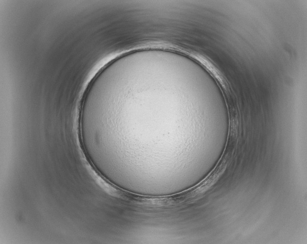 X0000115631438200912011431