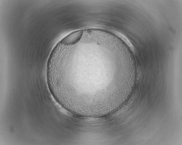 X0000115631439200912011431