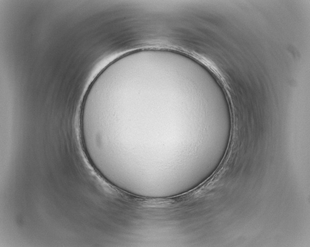 X0000115631440200912011431