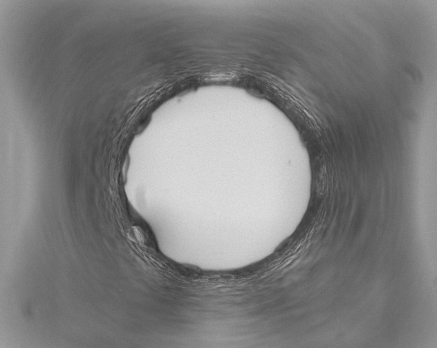 X0000115631441200912011430