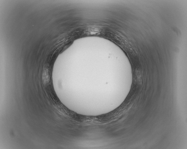 X0000115631442200912011430