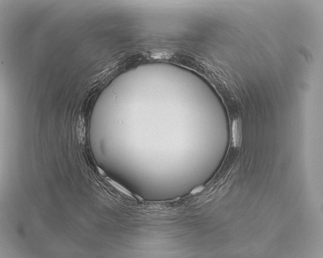 X0000115631443200912011430