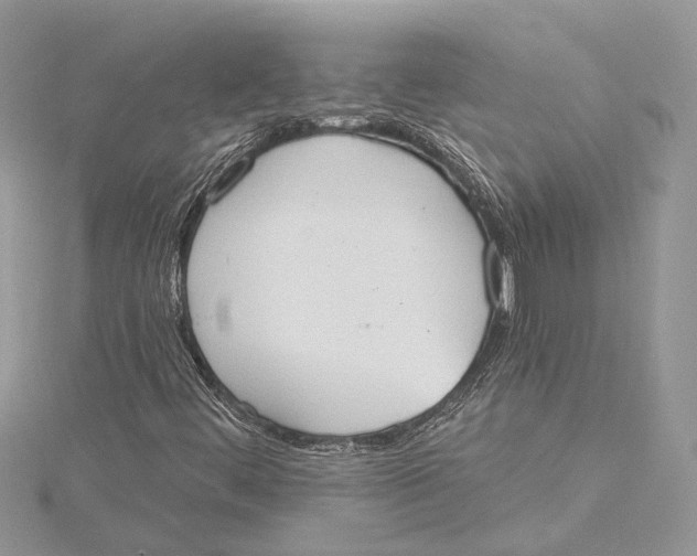 X0000115631444200912011430