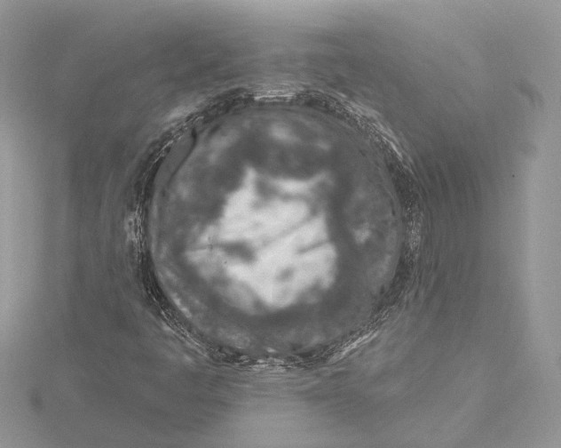 X0000115631445200912011430