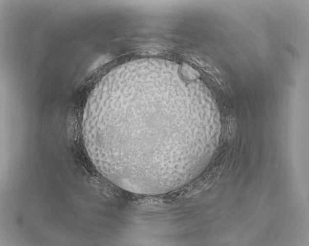 X0000115631446200912011430