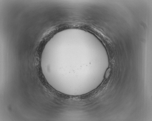 X0000115631447200912011430