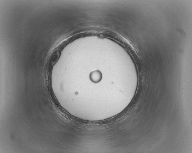 X0000115631448200912011430