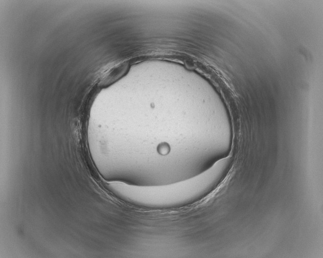 X0000115631449200912011430