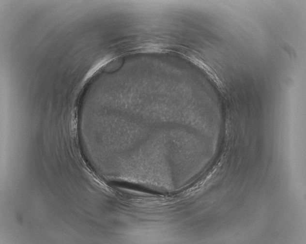 X0000115631450200912011430