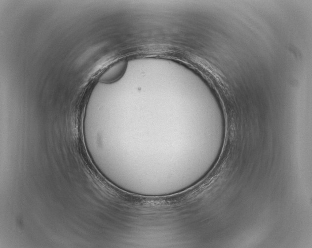 X0000115631451200912011430