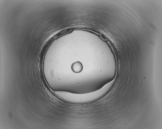 X0000115631452200912011430