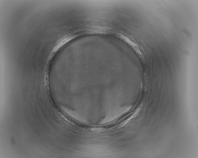 X0000115631453200912011430