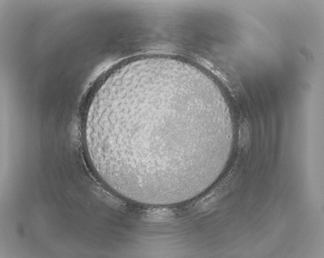 X0000115631454200912011430