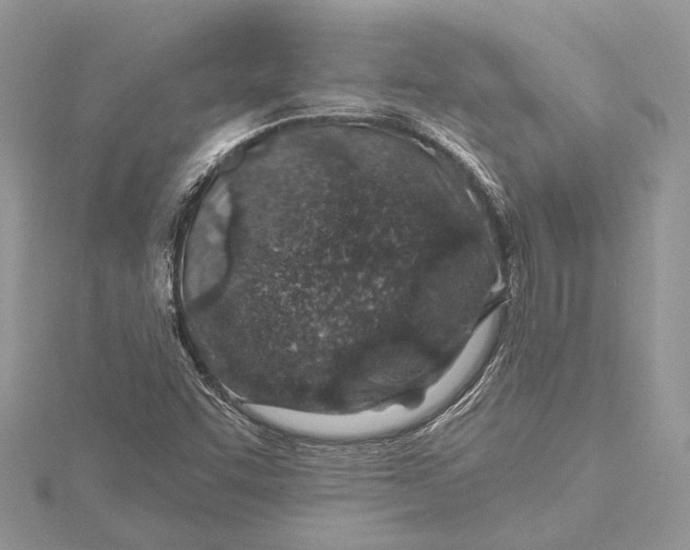 X0000115631455200912011430