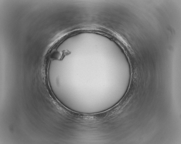 X0000115631456200912011430