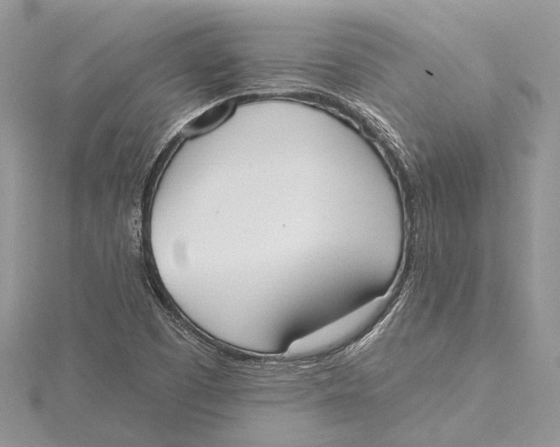 X0000115631457200912011430