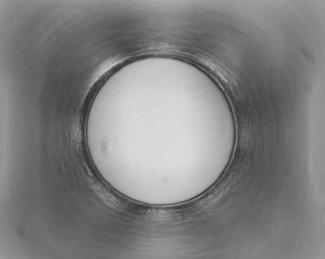 X0000115631458200912011430