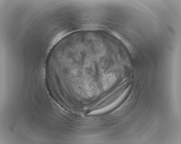 X0000115631459200912011430