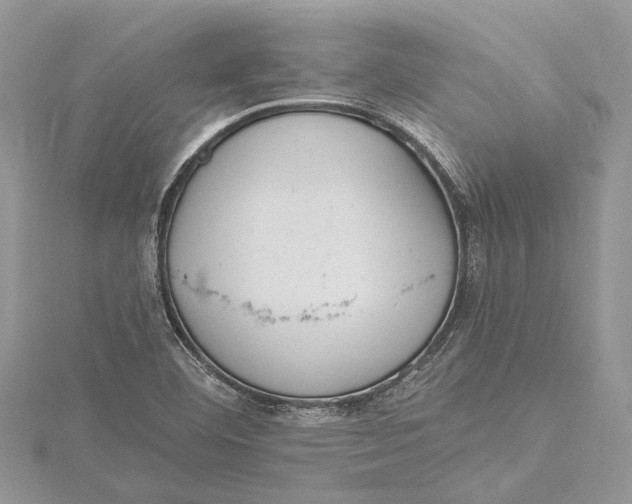 X0000115631460200912011430