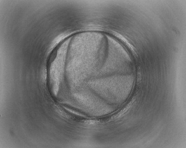 X0000115631461200912011430