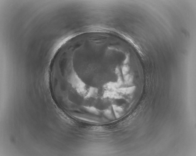 X0000115631463200912011430