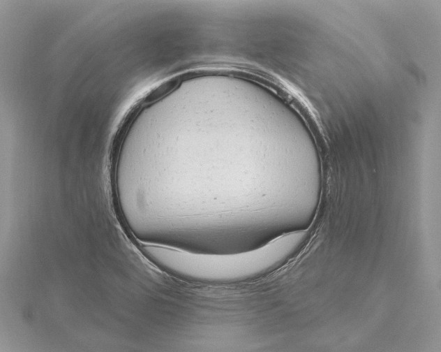 X0000115631464200912011430