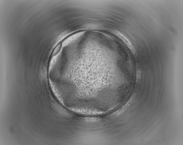 X0000115631465200912011430