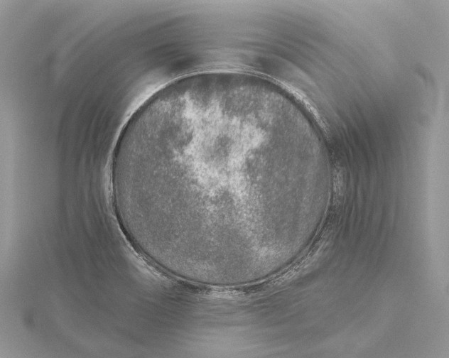 X0000115631466200912011430