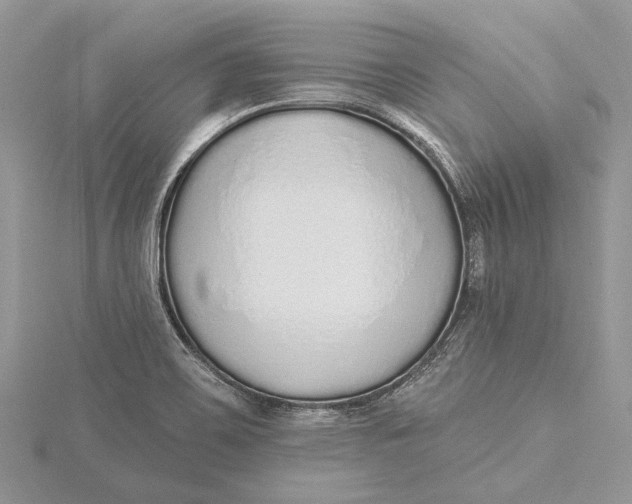 X0000115631467200912011430